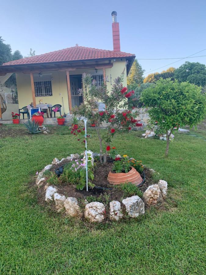 依诺罗达Xerxis Hill/Chalkidiki Τρυπητή Χαλκιδικής别墅 外观 照片